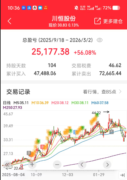 川恒股份交易流水
